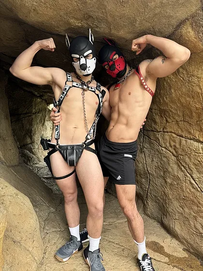 Cave Puppies
